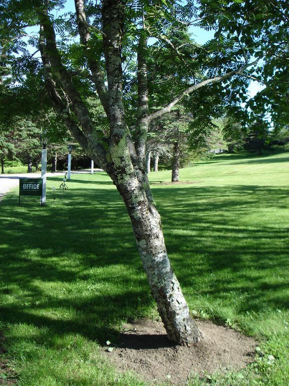Ducktrap Motel Lincolnville Exterior foto